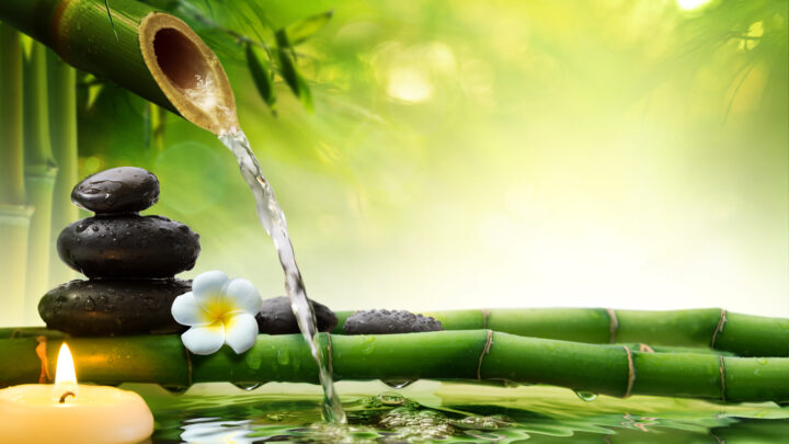 Zazen Reiki Dojo Roma