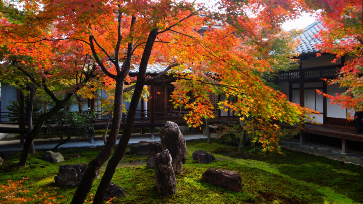 Zazen Reiki Dojo Roma